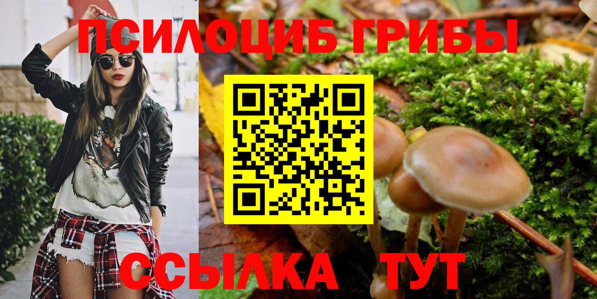 Псилоцибиновые грибы GOLDEN TEACHER Печора